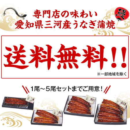 ≪丑の日≫専門店の味わい　愛知県三河産うなぎ蒲焼１尾　７月２６日―２８日お届け