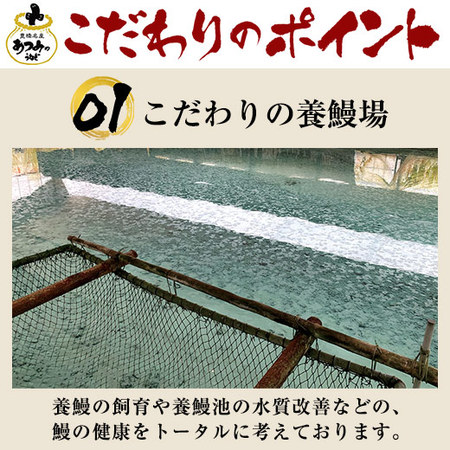 ≪丑の日≫専門店の味わい　愛知県三河産うなぎ蒲焼１尾　７月２６日―２８日お届け