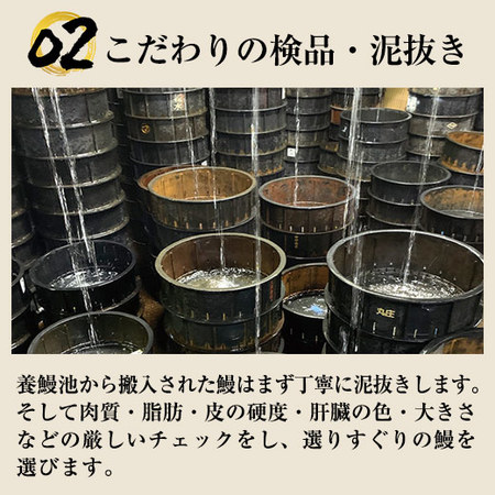 ≪丑の日≫専門店の味わい　愛知県三河産うなぎ蒲焼１尾　７月２６日―２８日お届け