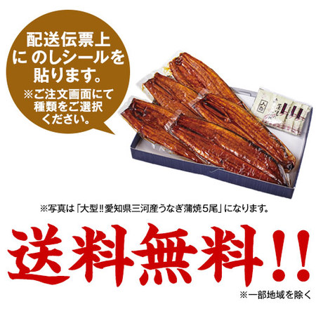 ≪丑の日≫大型！！愛知県三河産うなぎ蒲焼１尾　７月２６日―２８日お届け