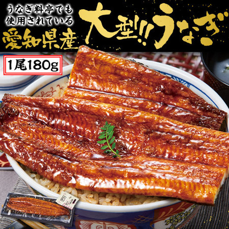 ≪丑の日≫大型！！愛知県三河産うなぎ蒲焼１尾　７月２６日―２８日お届け