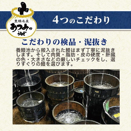 （父日）大型！！愛知県産うなぎ蒲焼　３尾