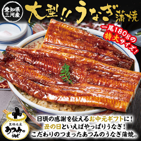 ≪丑の日≫大型！！愛知県三河産うなぎ蒲焼３尾　７月２６日―２８日お届け