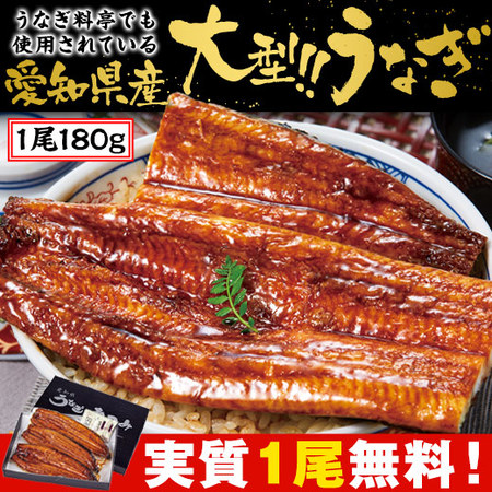 ≪丑の日≫大型！！愛知県三河産うなぎ蒲焼３尾　７月２６日―２８日お届け