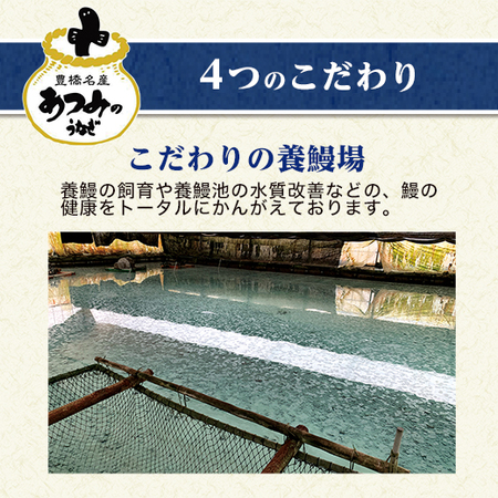 （父日）大型！！愛知県産うなぎ蒲焼　５尾