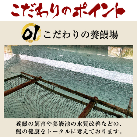 ≪丑の日≫大型！！愛知県三河産うなぎ蒲焼５尾　７月２６日―２８日お届け