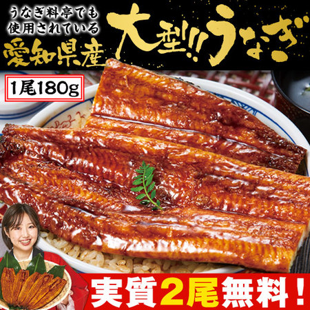 ≪丑の日≫大型！！愛知県三河産うなぎ蒲焼５尾　７月２６日―２８日お届け