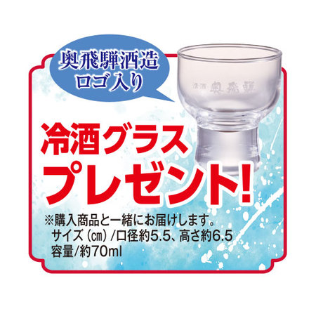 プレゼント付！≪５０％OFF！≫奥飛騨酒造 飛山飲みくらべ一升瓶５本組