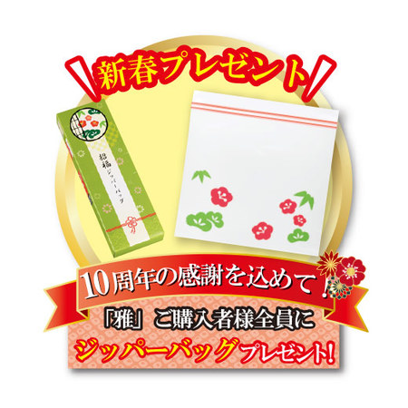 ≪送料無料≫門松アレンジメントー雅（みやび）ー１２月２５日―３０日お届け