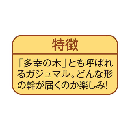 お手入れ簡単！みずてまりん３個セット3月下旬より順次
