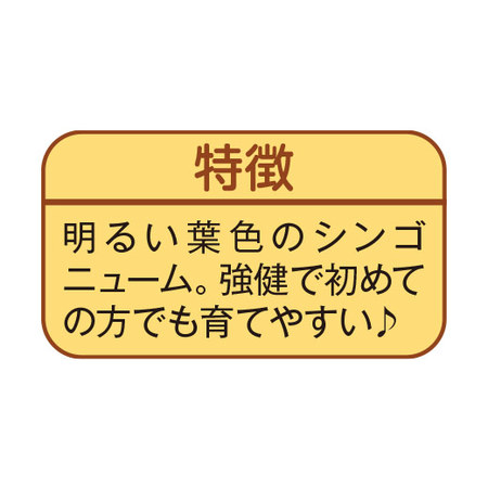 お手入れ簡単！みずてまりん３個セット3月下旬より順次