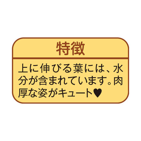 お手入れ簡単！みずてまりん３個セット3月下旬より順次