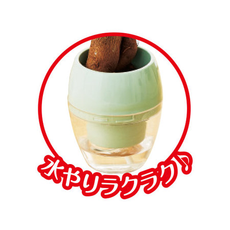 お手入れ簡単！みずてまりん３個セット3月下旬より順次