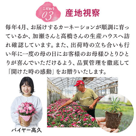 カーネーション　いちごキャンディとカステラセット【母の日お届け】