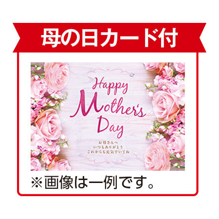 マーガレット　ストロベリーホイップとカステラセット【母の日お届け】