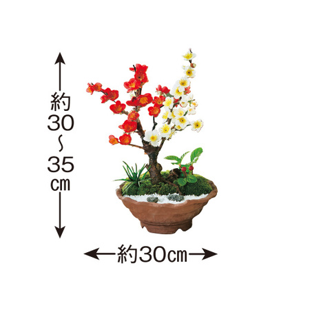 紅白梅盆栽ー初春庭園ー　12月中旬～12月下旬届け