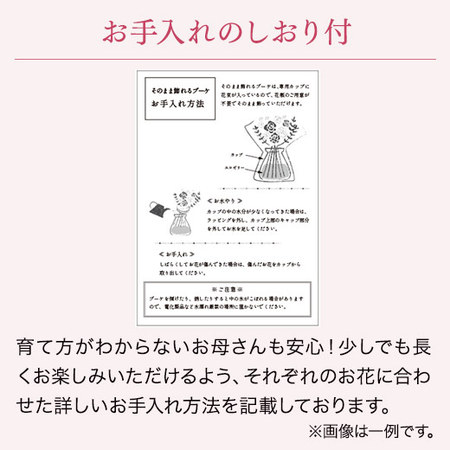 そのまま飾れるカラーブーケ　ミックス【母の日お届け】