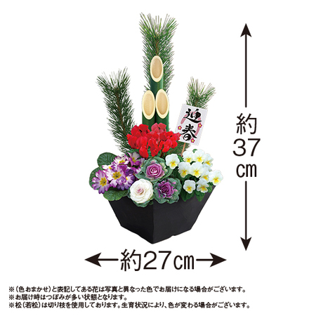門松寄せ植え－招福－【１２月下旬お届け】