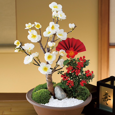 白梅－吉祥梅－【１２月中旬から１２月下旬お届け】