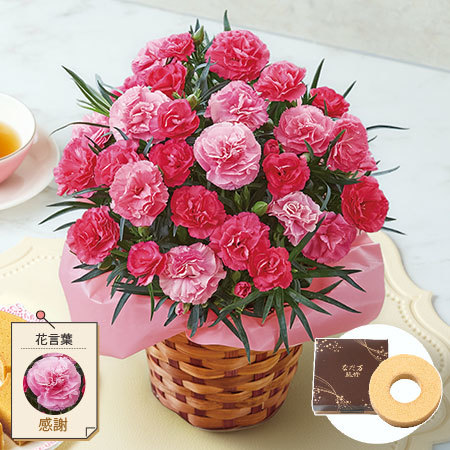 カーネーションさくらもなか＋バウムクーヘンセット【母の日お届け】