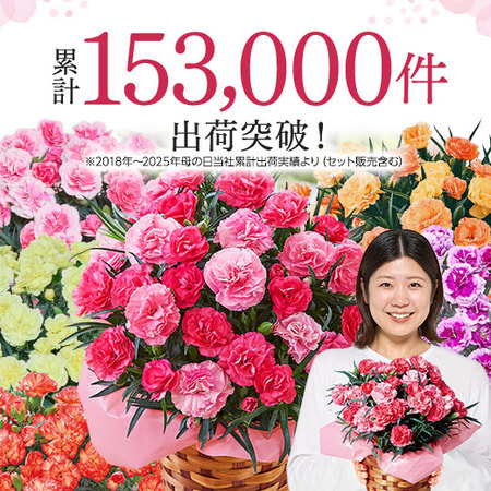 カーネーションオルフィカ【母の日お届け】