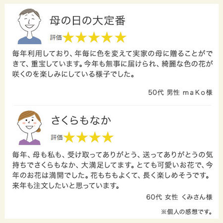 カーネーションオルフィカ【母の日遅れてごめんね】