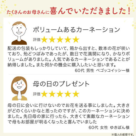 カーネーションティーパーティー＋バウムクーヘンセット【母の日お届け】