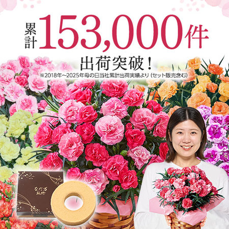 カーネーションルミナリア＋バウムクーヘンセット【母の日お届け】