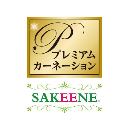 カーネーションサキーネ４色ミックス「しあわせ」＋バウムクーヘンセット【母の日お届け】