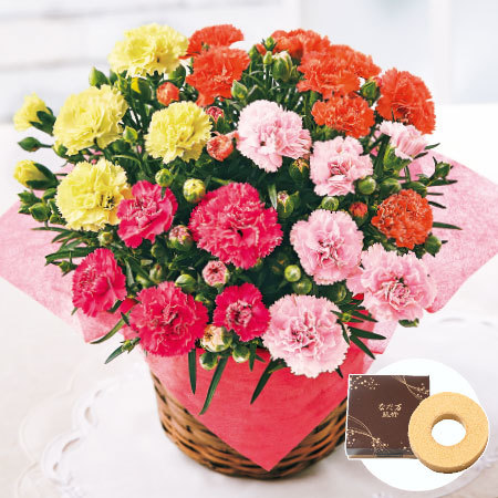 カーネーションサキーネ４色ミックス「しあわせ」＋バウムクーヘンセット【母の日お届け】