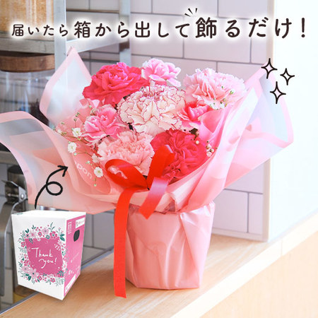 そのまま飾れるカラーブーケ　ピンク【母の日お届け】