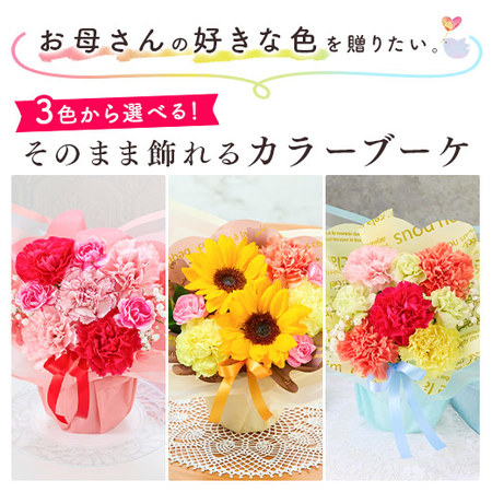 そのまま飾れるカラーブーケ　ピンク【母の日お届け】