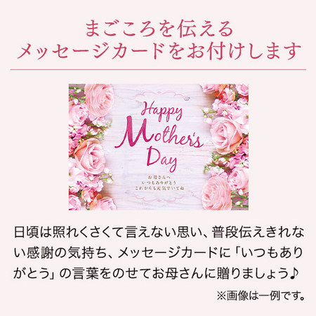 そのまま飾れるカラーブーケ　ピンク【母の日お届け】