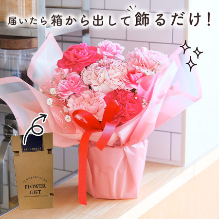 そのまま飾れるカラーブーケ　ピンク＋バウムクーヘンセット【母の日お届け】