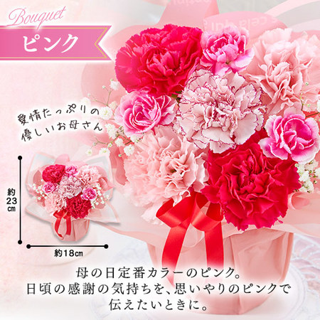 そのまま飾れるカラーブーケ　ピンク＋バウムクーヘンセット【母の日お届け】