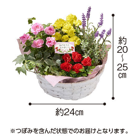 花あふれるカラフルバスケット【母の日お届け】