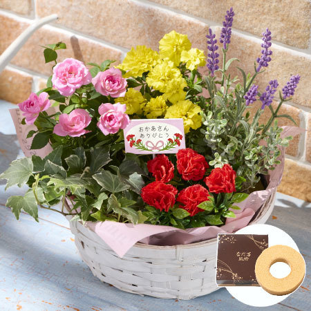 花あふれるカラフルバスケット＋バウムクーヘンセット【母の日お届け】
