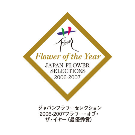 あじさい　フェアリーアイ＋バウムクーヘンセット【母の日お届け】