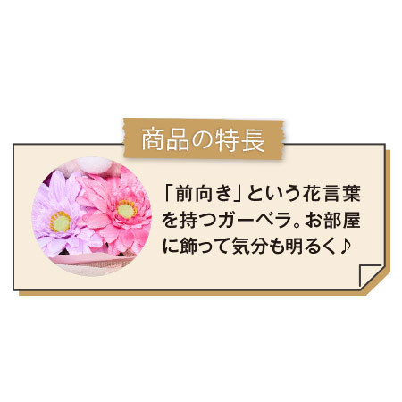 うさちゃんブーケ＋バウムクーヘンセット【母の日お届け】