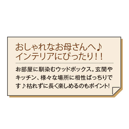 ウッドフラワーボックス＋バウムクーヘンセット【母の日お届け】