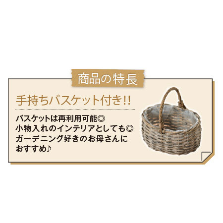 カリブラコア２色寄せ鉢バスケット＋バウムクーヘンセット【母の日お届け】