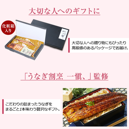 一愼監修！愛知県産うなぎ長焼【母の日お届け】