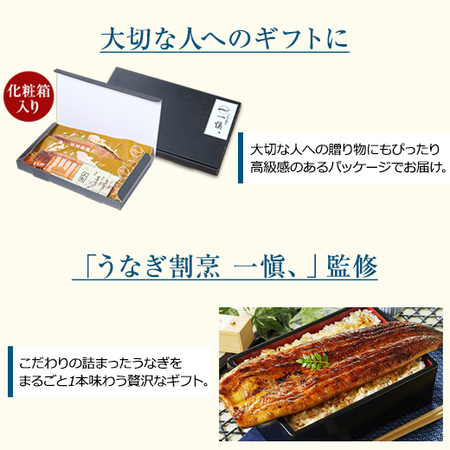 一愼監修！愛知県産うなぎ長焼【父の日お届け】