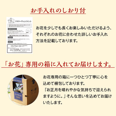 迎春アレンジメント－初夢－【１２月２５日から３０日お届け】