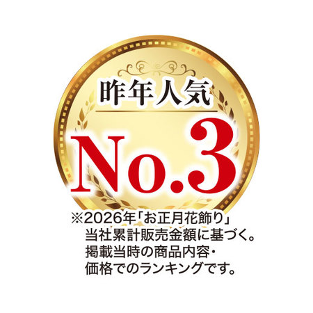 開運祈願大実万両ガーデニング【１２月下旬お届け】