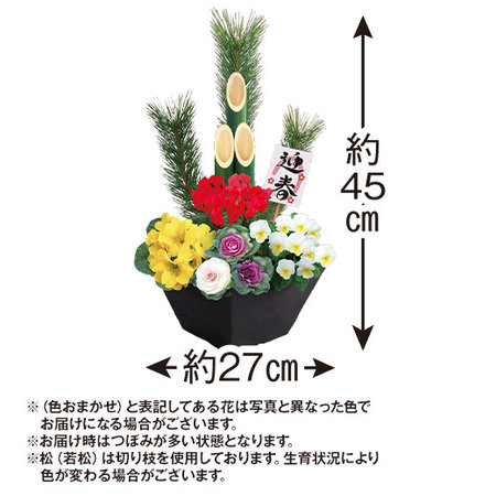 門松寄せ植え－招福－【１２月下旬お届け】