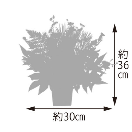 令和スペシャル　お正月飾り３点セット　１２月２５日－３０日お届け
