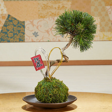 令和スペシャル　お正月飾り３点セット　１２月２５日－３０日お届け