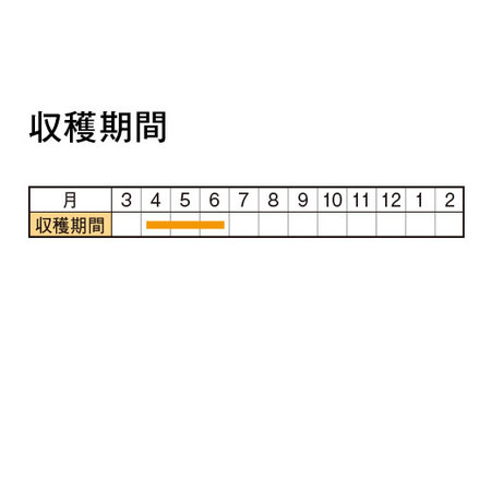 育てて食べられる　実付きイチゴ　４月中旬より順次