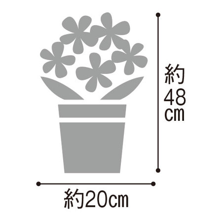 育てて食べられる　実付きパッションフルーツ　４月中旬より順次